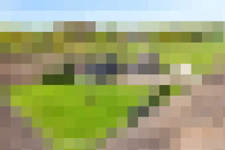 De Trije Roeden 6 Boelenslaan thumbnail 89