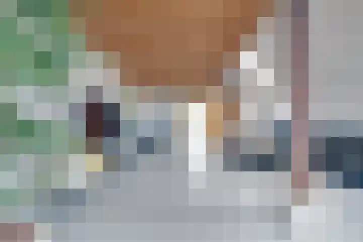 De Trije Roeden 6 Boelenslaan thumbnail 9