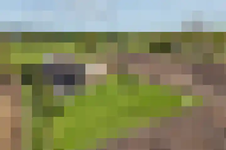 De Trije Roeden 6 Boelenslaan thumbnail 90