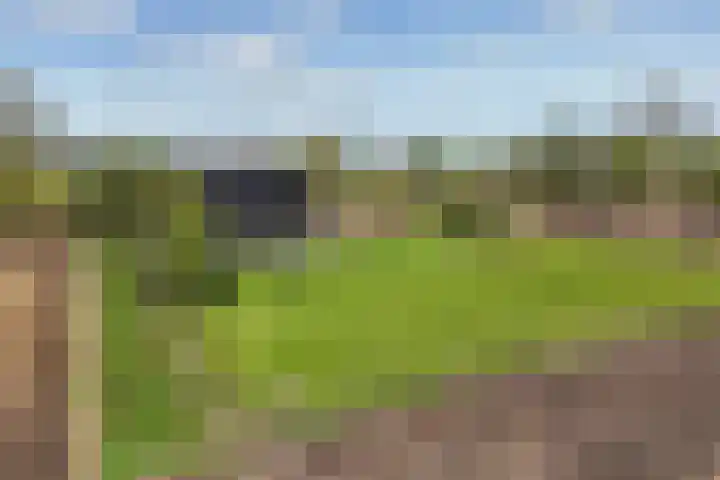 De Trije Roeden 6 Boelenslaan thumbnail 91