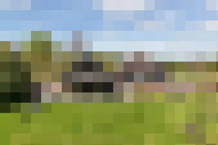 De Trije Roeden 6 Boelenslaan thumbnail 92
