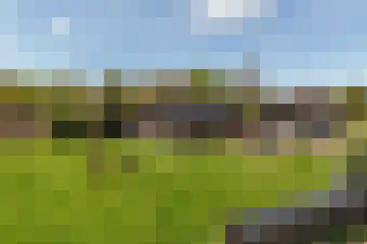 De Trije Roeden 6 Boelenslaan thumbnail 93