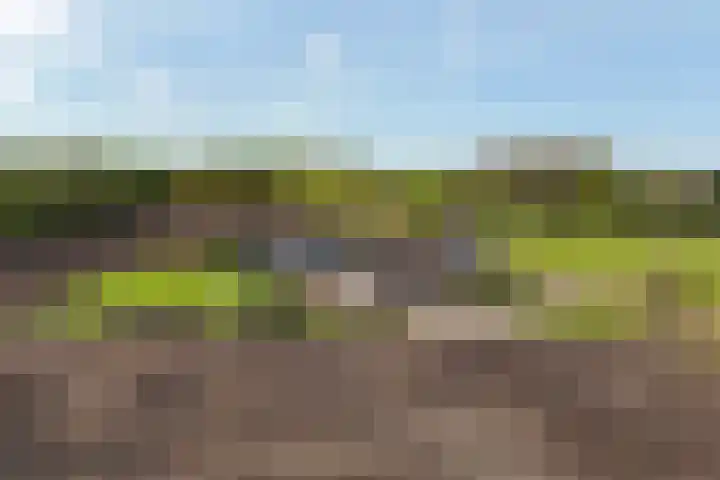 De Trije Roeden 6 Boelenslaan thumbnail 94