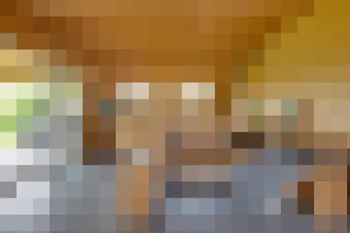 De Trije Roeden 6 Boelenslaan thumbnail 97