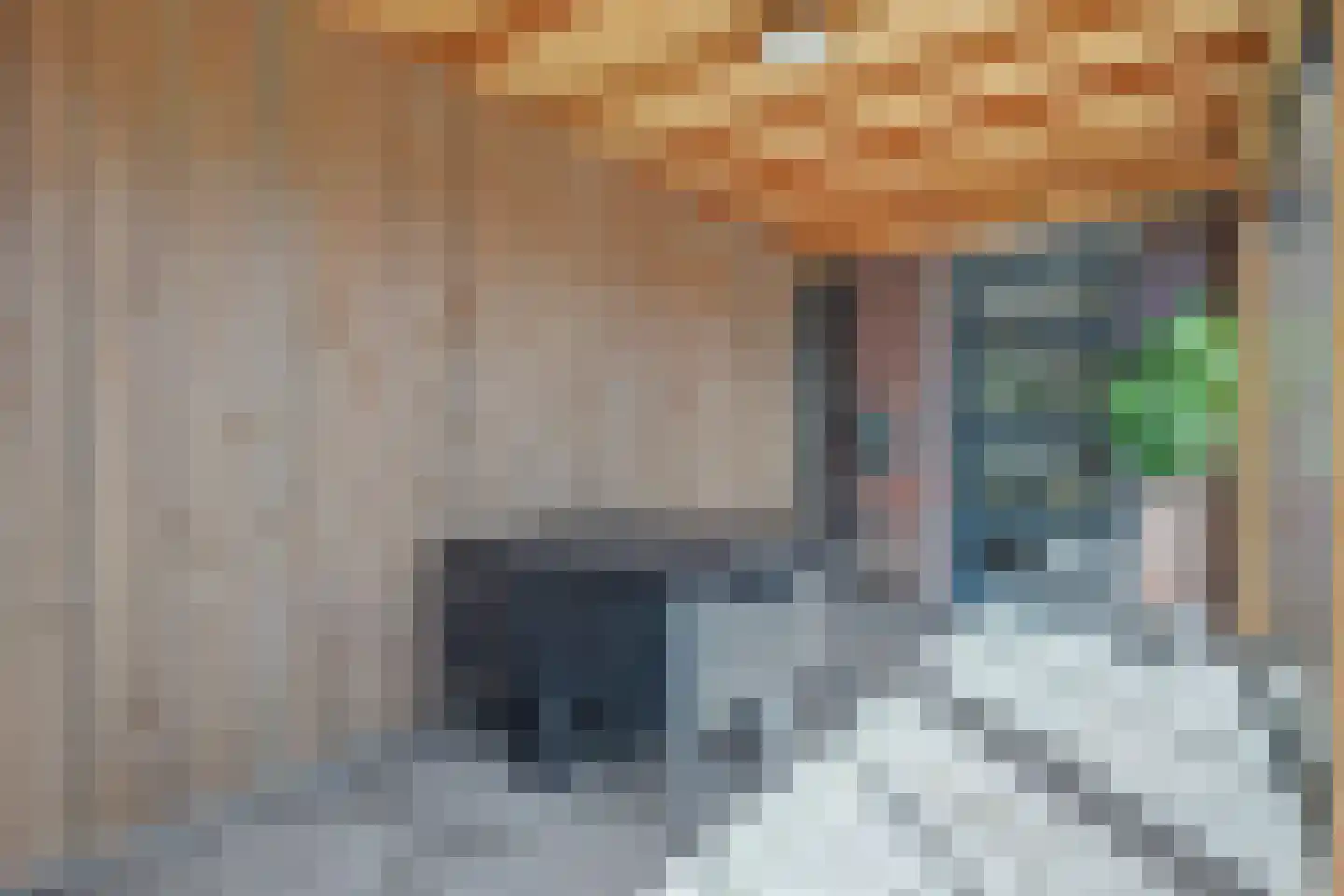 De Triomfboog 50 Enschede thumbnail 38