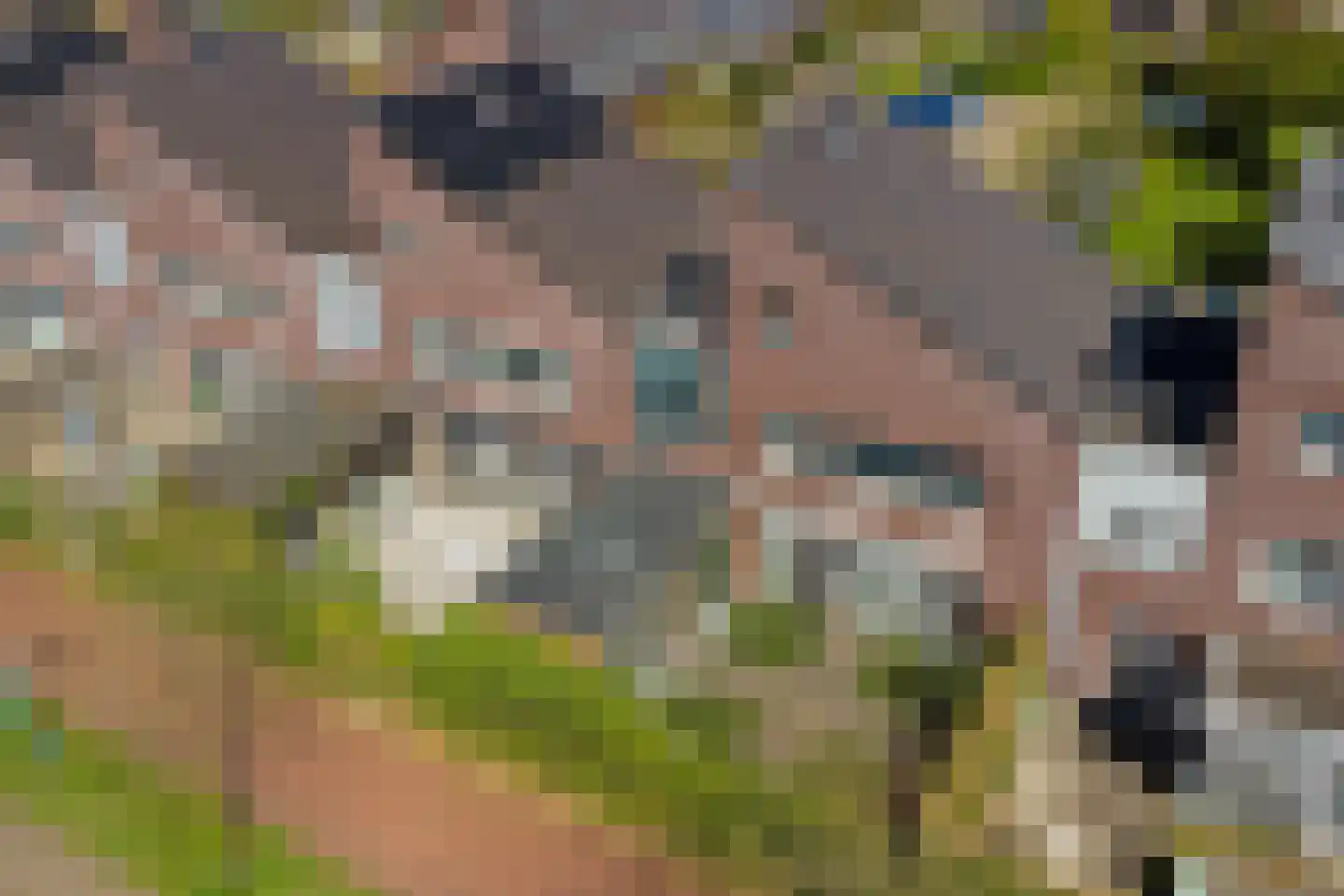 De Triomfboog 50 Enschede thumbnail 42