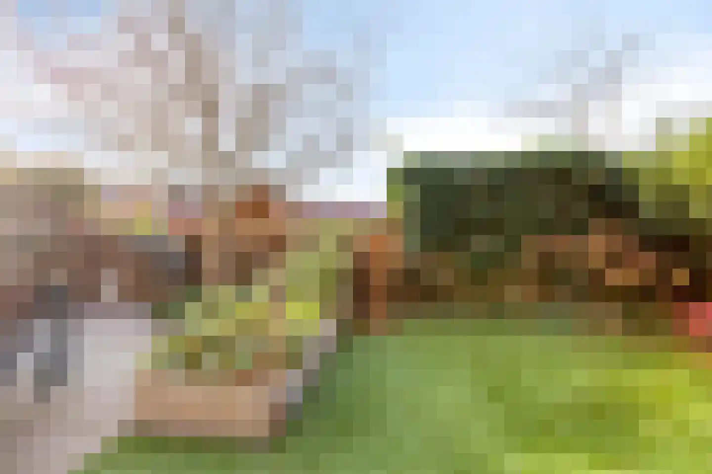 De Triomfboog 66 Enschede thumbnail 6