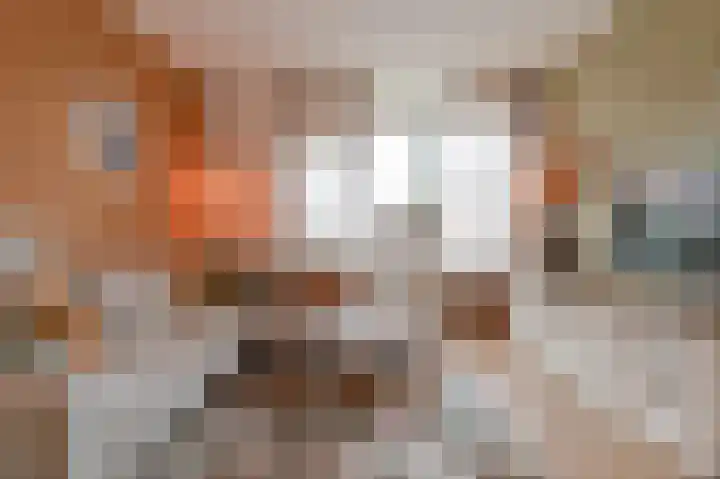 De Trippen 12 Nieuw-Weerdinge thumbnail 13