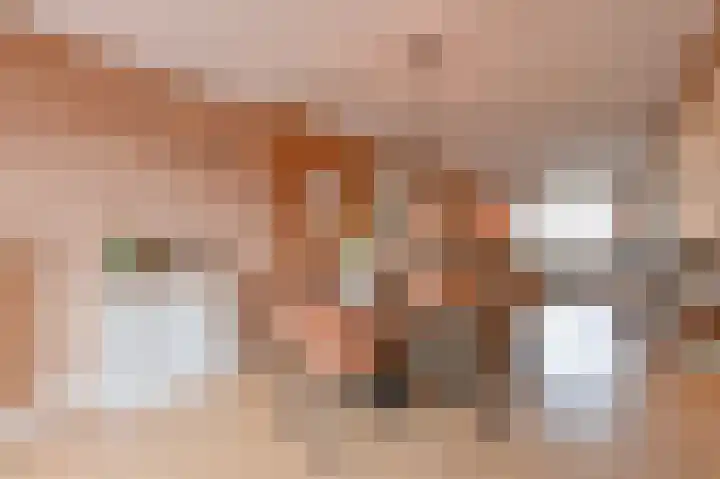 De Trippen 12 Nieuw-Weerdinge thumbnail 17