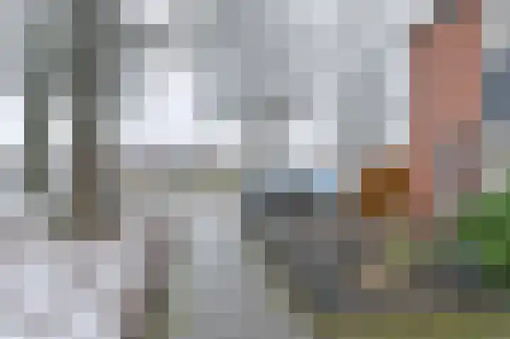De Trippen 12 Nieuw-Weerdinge thumbnail 6