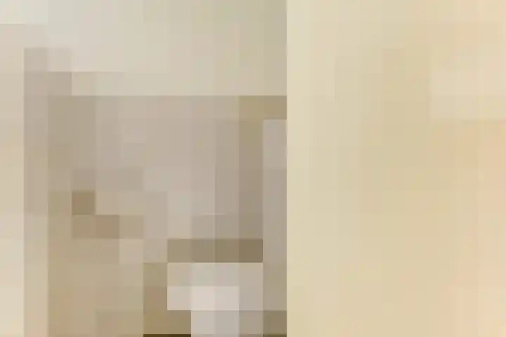 De Trippen 30 B Swifterbant thumbnail 10