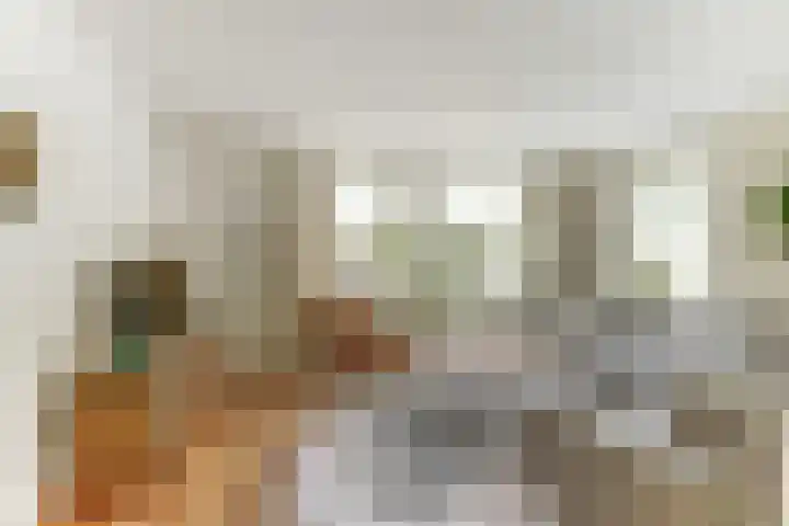 De Trippen 30 B Swifterbant thumbnail 11