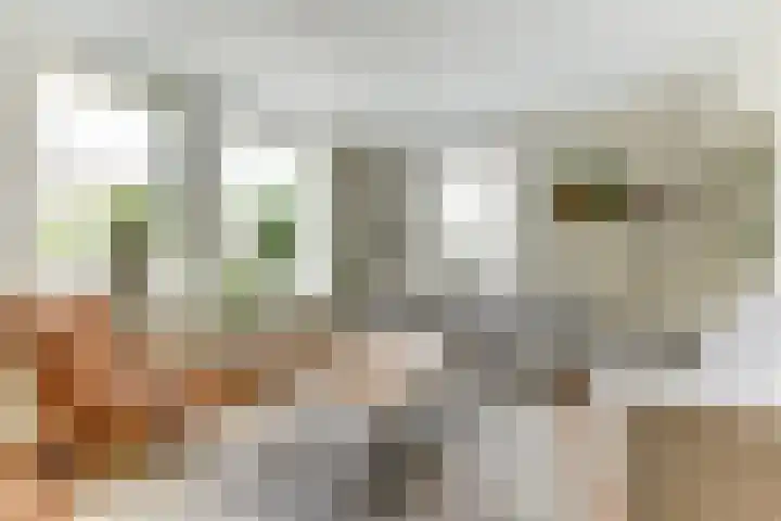 De Trippen 30 B Swifterbant thumbnail 12