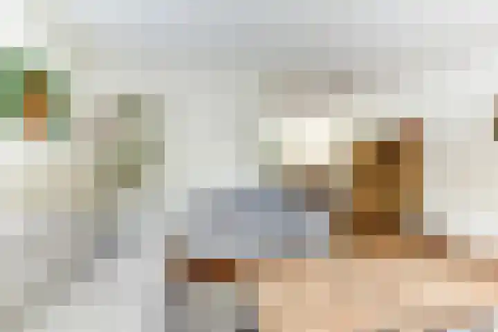De Trippen 30 B Swifterbant thumbnail 13
