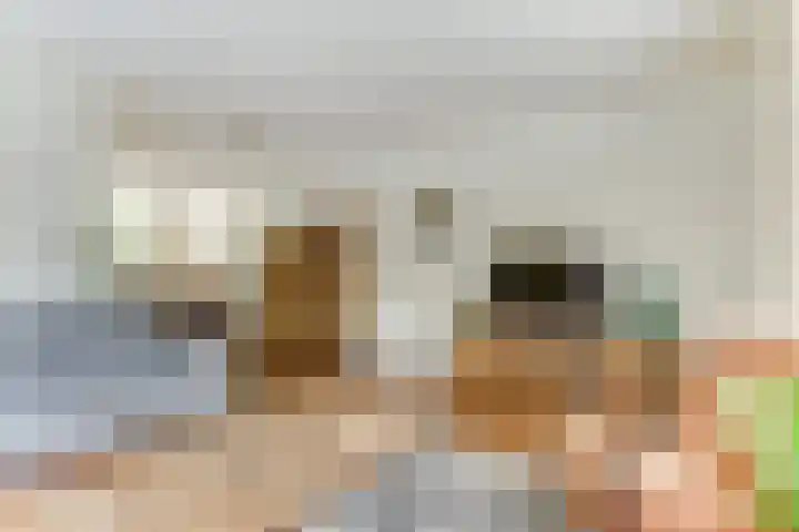 De Trippen 30 B Swifterbant thumbnail 14