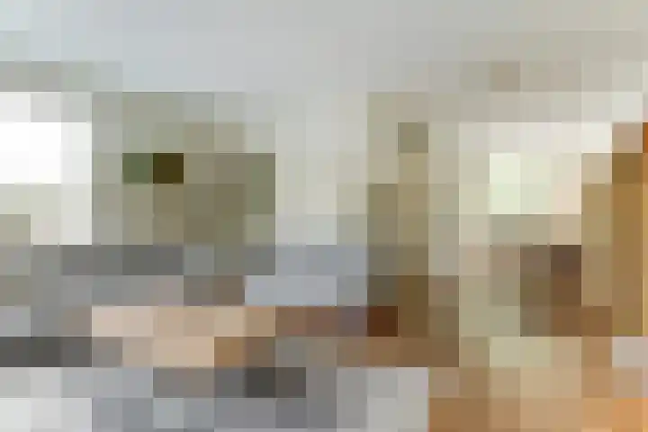 De Trippen 30 B Swifterbant thumbnail 15
