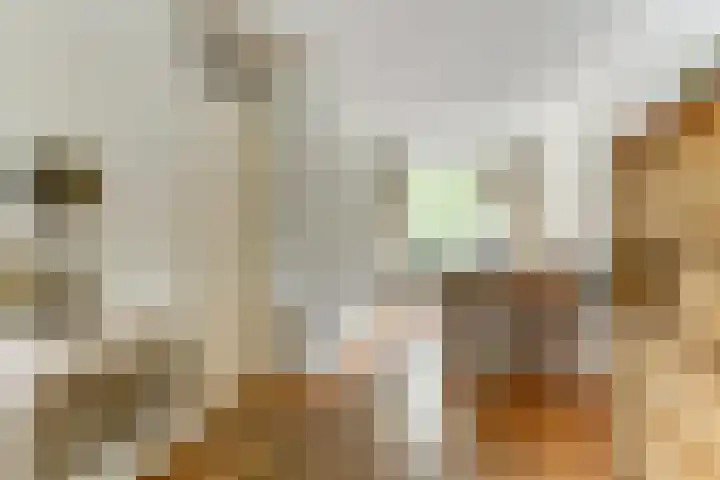 De Trippen 30 B Swifterbant thumbnail 16