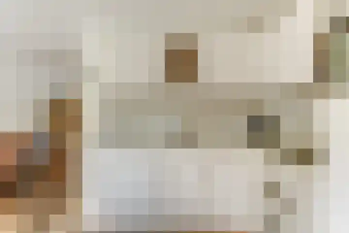 De Trippen 30 B Swifterbant thumbnail 20