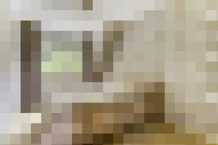 De Trippen 30 B Swifterbant thumbnail 22