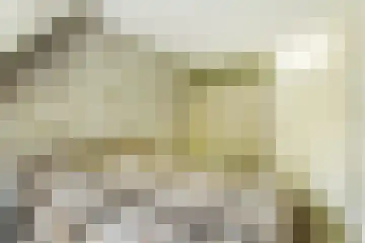 De Trippen 30 B Swifterbant thumbnail 23