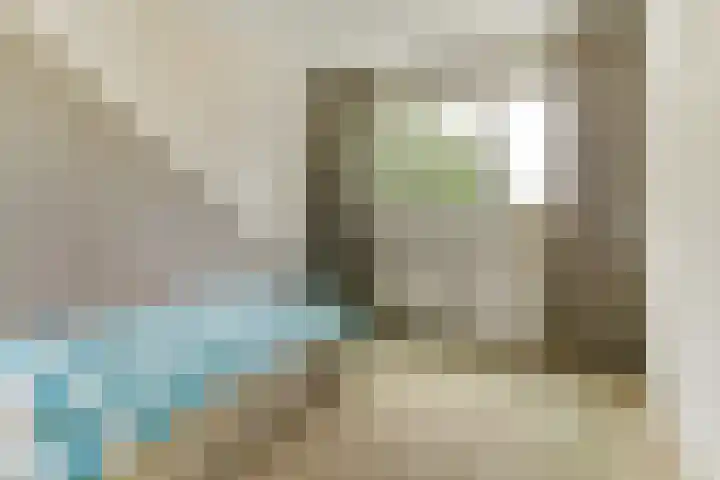 De Trippen 30 B Swifterbant thumbnail 24