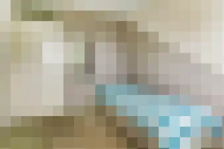 De Trippen 30 B Swifterbant thumbnail 25