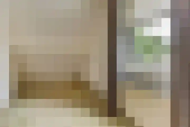 De Trippen 30 B Swifterbant thumbnail 26