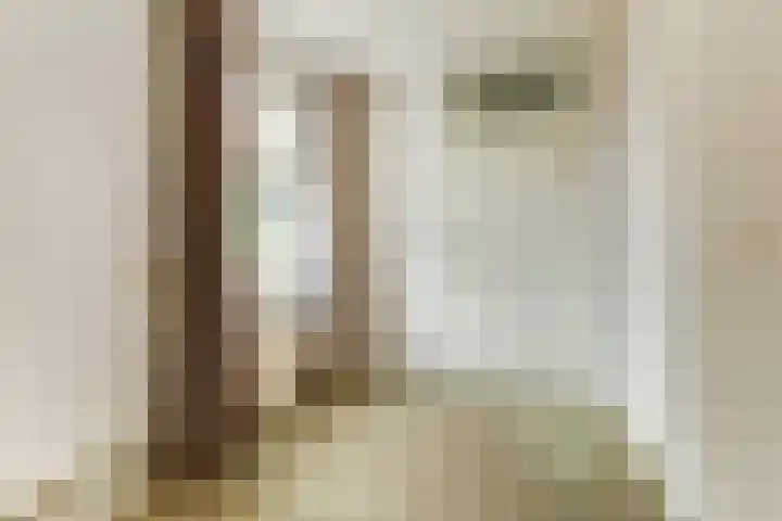 De Trippen 30 B Swifterbant thumbnail 27