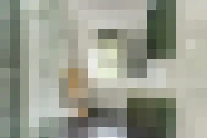 De Trippen 30 B Swifterbant thumbnail 28