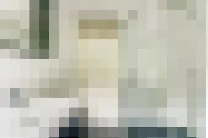 De Trippen 30 B Swifterbant thumbnail 29