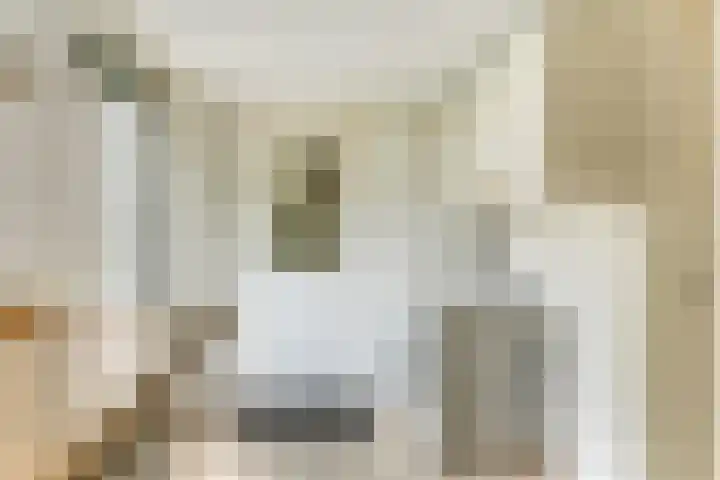 De Trippen 30 B Swifterbant thumbnail 32