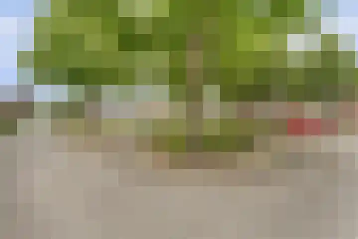De Trippen 30 B Swifterbant thumbnail 35