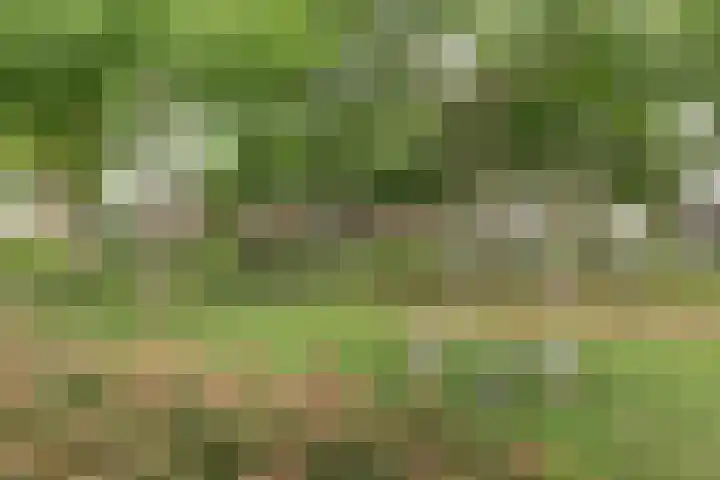 De Trippen 30 B Swifterbant thumbnail 36