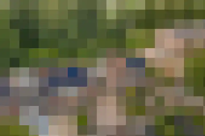 De Trippen 30 B Swifterbant thumbnail 37
