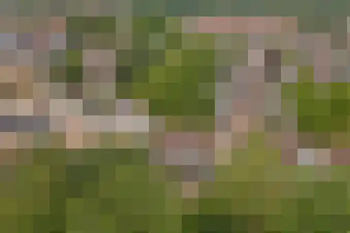 De Trippen 30 B Swifterbant thumbnail 38