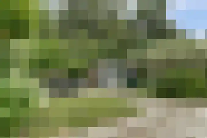 De Trippen 30 B Swifterbant thumbnail 4