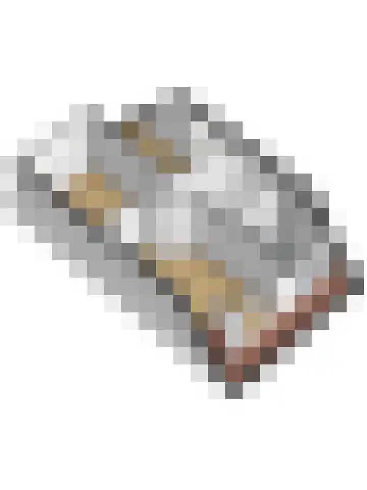 De Trippen 30 B Swifterbant thumbnail 43