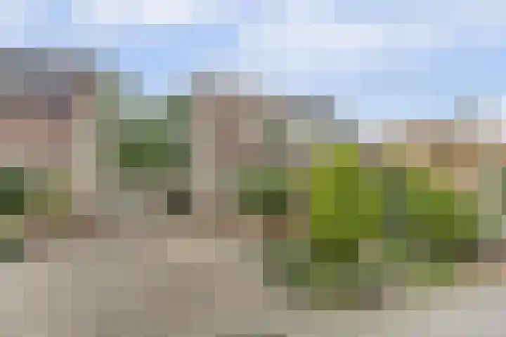De Trippen 30 B Swifterbant thumbnail 6