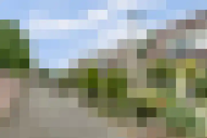 De Trippen 30 B Swifterbant thumbnail 7