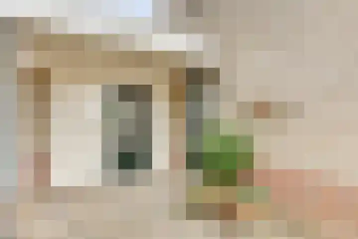 De Trippen 30 B Swifterbant thumbnail 8