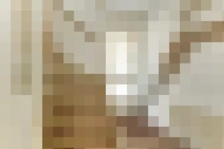 De Trippen 30 B Swifterbant thumbnail 9