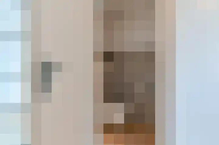 De Trippen 52 Nieuw-Weerdinge thumbnail 11