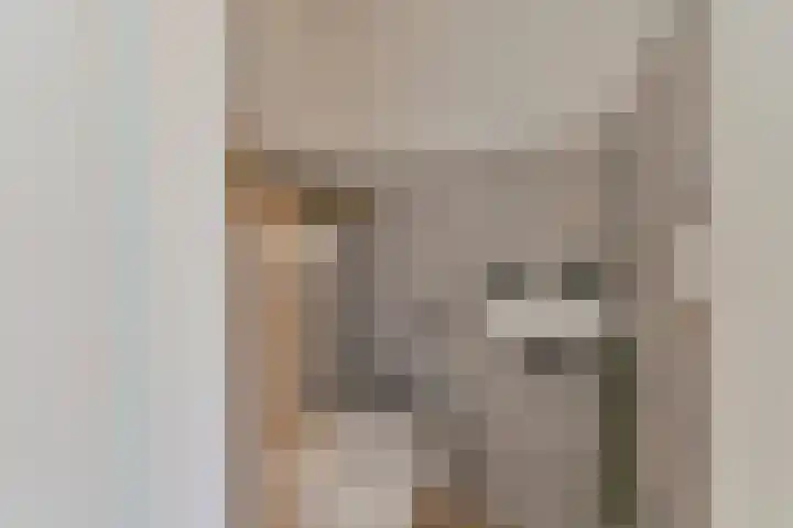 De Trippen 52 Nieuw-Weerdinge thumbnail 12
