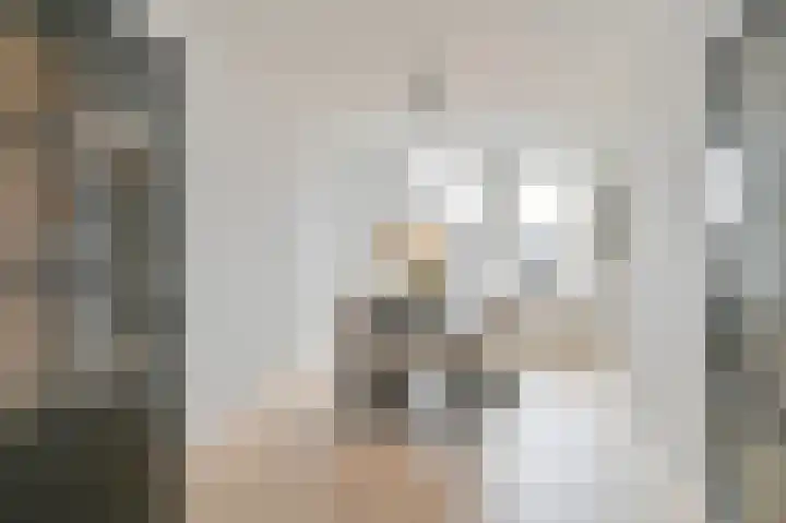 De Trippen 52 Nieuw-Weerdinge thumbnail 22
