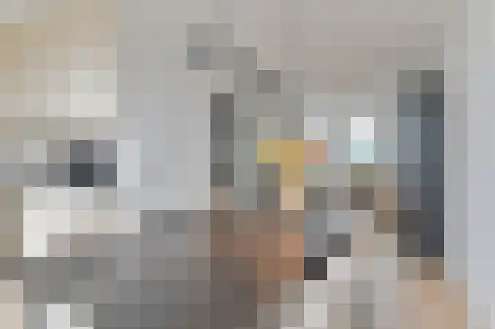 De Trippen 52 Nieuw-Weerdinge thumbnail 26