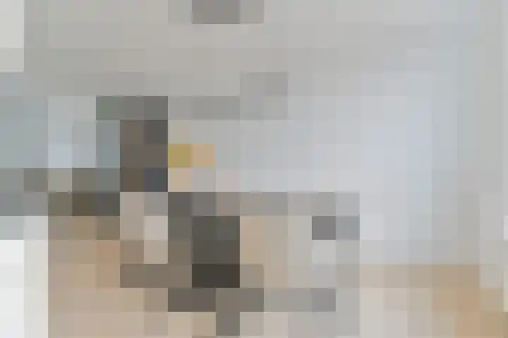 De Trippen 52 Nieuw-Weerdinge thumbnail 28