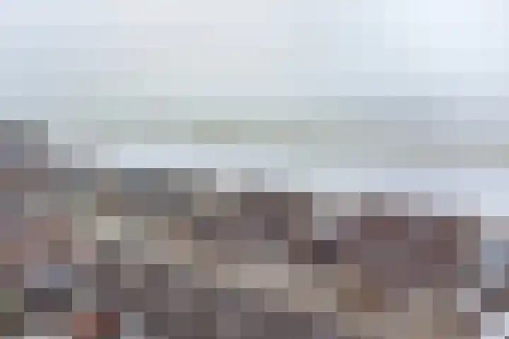 De Trippen 52 Nieuw-Weerdinge thumbnail 4
