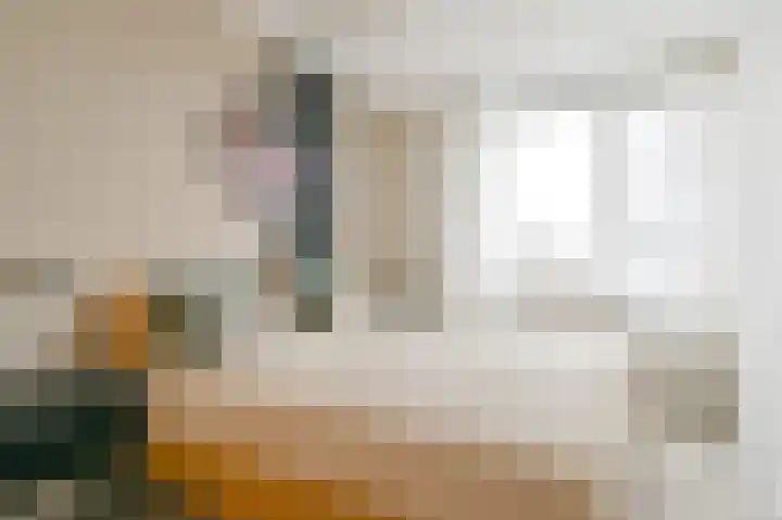 De Trippen 52 Nieuw-Weerdinge thumbnail 50