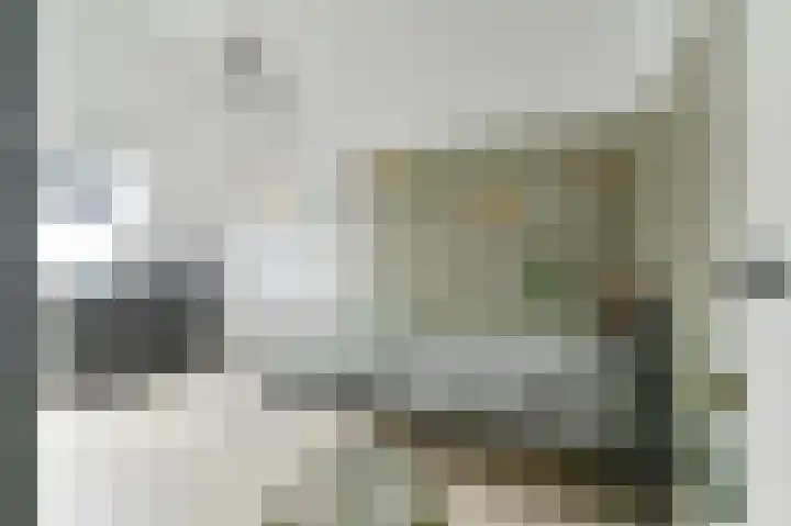 De Trippen 52 Nieuw-Weerdinge thumbnail 53