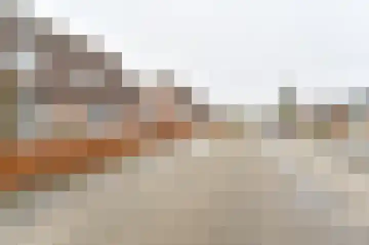 De Trippen 52 Nieuw-Weerdinge thumbnail 6